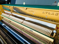 Chuyên Cung Cấp Sỉ Và Lẻ Piano & Guitar Secondhand Nhập Khẩu 100% Từ Nhật - Với Chất Lượng Và Chế Độ Bảo Hành Uy Tín, Nhanh Chóng. Hỗ trợ trả góp từ 0% bằng thẻ tín dụng cho khách hàng.