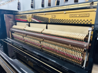 Chuyên Cung Cấp Sỉ Và Lẻ Piano & Guitar Secondhand Nhập Khẩu 100% Từ Nhật - Với Chất Lượng Và Chế Độ Bảo Hành Uy Tín, Nhanh Chóng. Hỗ trợ trả góp từ 0% bằng thẻ tín dụng cho khách hàng.