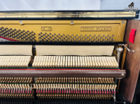 Chuyên Cung Cấp Sỉ Và Lẻ Piano & Guitar Secondhand Nhập Khẩu 100% Từ Nhật - Với Chất Lượng Và Chế Độ Bảo Hành Uy Tín, Nhanh Chóng. Hỗ trợ trả góp từ 0% bằng thẻ tín dụng cho khách hàng.