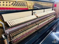 Chuyên Cung Cấp Sỉ Và Lẻ Piano & Guitar Secondhand Nhập Khẩu 100% Từ Nhật - Với Chất Lượng Và Chế Độ Bảo Hành Uy Tín, Nhanh Chóng. Hỗ trợ trả góp từ 0% bằng thẻ tín dụng cho khách hàng.
