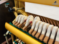 Chuyên Cung Cấp Sỉ Và Lẻ Piano & Guitar Secondhand Nhập Khẩu 100% Từ Nhật - Với Chất Lượng Và Chế Độ Bảo Hành Uy Tín, Nhanh Chóng. Hỗ trợ trả góp từ 0% bằng thẻ tín dụng cho khách hàng.