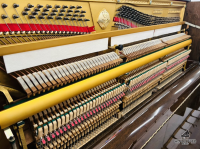 Chuyên Cung Cấp Sỉ Và Lẻ Piano & Guitar Secondhand Nhập Khẩu 100% Từ Nhật - Với Chất Lượng Và Chế Độ Bảo Hành Uy Tín, Nhanh Chóng. Hỗ trợ trả góp từ 0% bằng thẻ tín dụng cho khách hàng.