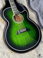 Takamine TDP-181AC SGS Made in Japan