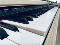Đàn Piano Điện Roland HP 704 | Piano Hoàng Phúc