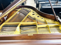 Chuyên Cung Cấp Sỉ Và Lẻ Piano & Guitar Secondhand Nhập Khẩu 100% Từ Nhật - Với Chất Lượng Và Chế Độ Bảo Hành Uy Tín, Nhanh Chóng. Hỗ trợ trả góp từ 0% bằng thẻ tín dụng cho khách hàng.