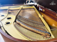 Chuyên Cung Cấp Sỉ Và Lẻ Piano & Guitar Secondhand Nhập Khẩu 100% Từ Nhật - Với Chất Lượng Và Chế Độ Bảo Hành Uy Tín, Nhanh Chóng. Hỗ trợ trả góp từ 0% bằng thẻ tín dụng cho khách hàng.