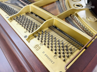 Chuyên Cung Cấp Sỉ Và Lẻ Piano & Guitar Secondhand Nhập Khẩu 100% Từ Nhật - Với Chất Lượng Và Chế Độ Bảo Hành Uy Tín, Nhanh Chóng. Hỗ trợ trả góp từ 0% bằng thẻ tín dụng cho khách hàng.