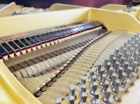 Chuyên Cung Cấp Sỉ Và Lẻ Piano & Guitar Secondhand Nhập Khẩu 100% Từ Nhật - Với Chất Lượng Và Chế Độ Bảo Hành Uy Tín, Nhanh Chóng. Hỗ trợ trả góp từ 0% bằng thẻ tín dụng cho khách hàng.