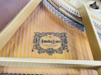 Chuyên Cung Cấp Sỉ Và Lẻ Piano & Guitar Secondhand Nhập Khẩu 100% Từ Nhật - Với Chất Lượng Và Chế Độ Bảo Hành Uy Tín, Nhanh Chóng. Hỗ trợ trả góp từ 0% bằng thẻ tín dụng cho khách hàng.