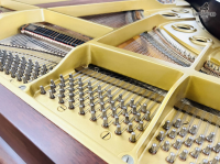 Chuyên Cung Cấp Sỉ Và Lẻ Piano & Guitar Secondhand Nhập Khẩu 100% Từ Nhật - Với Chất Lượng Và Chế Độ Bảo Hành Uy Tín, Nhanh Chóng. Hỗ trợ trả góp từ 0% bằng thẻ tín dụng cho khách hàng.