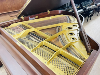 Chuyên Cung Cấp Sỉ Và Lẻ Piano & Guitar Secondhand Nhập Khẩu 100% Từ Nhật - Với Chất Lượng Và Chế Độ Bảo Hành Uy Tín, Nhanh Chóng. Hỗ trợ trả góp từ 0% bằng thẻ tín dụng cho khách hàng.