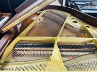 Chuyên Cung Cấp Sỉ Và Lẻ Piano & Guitar Secondhand Nhập Khẩu 100% Từ Nhật - Với Chất Lượng Và Chế Độ Bảo Hành Uy Tín, Nhanh Chóng. Hỗ trợ trả góp từ 0% bằng thẻ tín dụng cho khách hàng.