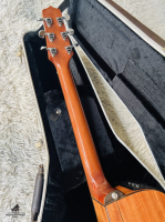 Takamine TDP-500K KOA Made in Japan