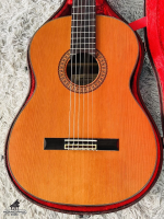 Takamine PT-50EG Pickup zin Made in Japan