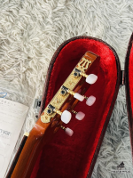 Takamine PT-50EG Pickup zin Made in Japan