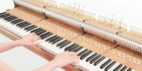 Đàn piano Yamaha AvantGrand N1 nhập khẩu chính hãng từ Nhật| Piano Hoàng Phúc