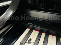 ROLAND HP-508 PE