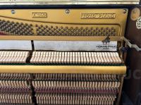 PIANO APOLLO A350 - NÂU BÓNG- MỚI 98%| PIANO HOÀNG PHÚC