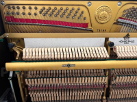 PIANO APOLLO A350 - NÂU BÓNG- MỚI 98%| PIANO HOÀNG PHÚC