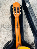 Đàn guitar classic nhập khẩu chính hãng từ Nhật| Piano Hoàng Phúc