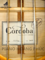 Đàn guitar classic nhập khẩu chính hãng từ Nhật| Piano Hoàng Phúc