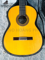 Guitar Asturias Predule S Nhập Khẩu Trực Tiếp Từ Nhật