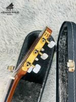 Guitar Asturias Predule S Nhập Khẩu Trực Tiếp Từ Nhật