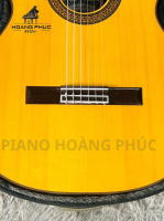 Guitar Asturias Predule S Nhập Khẩu Trực Tiếp Từ Nhật