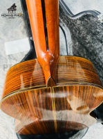 Guitar Asturias Predule S Nhập Khẩu Trực Tiếp Từ Nhật