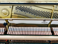 Yamaha UX300 Phiên Bản Đặc Biệt Đi Kèm Auto Play