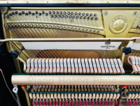 Yamaha UX300 Phiên Bản Đặc Biệt Đi Kèm Auto Play