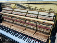 Yamaha UX300 Phiên Bản Đặc Biệt Đi Kèm Auto Play