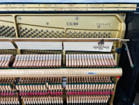 Yamaha UX300 Phiên Bản Đặc Biệt Đi Kèm Auto Play