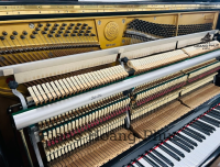 Chuyên Cung Cấp Sỉ Và Lẻ Piano & Guitar Secondhand Nhập Khẩu 100% Từ Nhật - Với Chất Lượng Và Chế Độ Bảo Hành Uy Tín, Nhanh Chóng. Hỗ trợ trả góp từ 0% bằng thẻ tín dụng cho khách hàng.