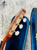 Guitar Matsuoka M40 Tem Xanh Nhập Khẩu Trực Tiếp Từ Nhật