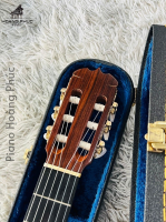 Guitar Matsuoka M40 Tem Xanh Nhập Khẩu Trực Tiếp Từ Nhật