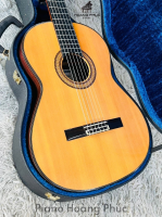 Guitar Matsuoka M40 Tem Xanh Nhập Khẩu Trực Tiếp Từ Nhật