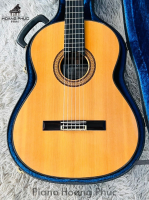 Guitar Matsuoka M40 Tem Xanh Nhập Khẩu Trực Tiếp Từ Nhật