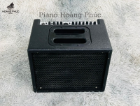 Loa Loa AER Compact 60/2 Made in Germany_120W