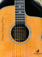 Đàn guitar Takamine DMP-670NC VN | nhập khẩu chính hãng từ Nhật| Piano Hoàng Phúc