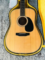 Đàn Acoustic Morris W50 | Nhập khẩu trực tiếp tại Nhật Bản