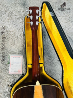 Đàn Acoustic Morris W50 | Nhập khẩu trực tiếp tại Nhật Bản