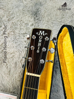 Đàn Acoustic Morris W50 | Nhập khẩu trực tiếp tại Nhật Bản