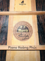 Đàn Acoustic Morris W70 | Nhập khẩu trực tiếp tại Nhật Bản