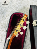 Đàn guitar classic Takamine No-100S   | nhập khẩu chính hãng từ Nhật| Piano Hoàng Phúc