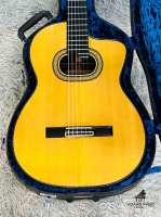 Guitar Takamine PT-318 Nhập Khẩu Trực Tiếp Từ Nhật