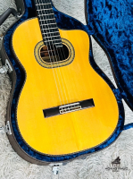 Guitar Takamine PT-318 Nhập Khẩu Trực Tiếp Từ Nhật