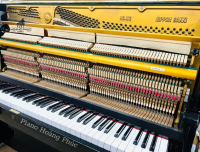 Chuyên Cung Cấp Sỉ Và Lẻ Piano & Guitar Secondhand Nhập Khẩu 100% Từ Nhật - Với Chất Lượng Và Chế Độ Bảo Hành Uy Tín, Nhanh Chóng. Hỗ trợ trả góp từ 0% bằng thẻ tín dụng cho khách hàng.