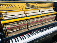 Chuyên Cung Cấp Sỉ Và Lẻ Piano & Guitar Secondhand Nhập Khẩu 100% Từ Nhật - Với Chất Lượng Và Chế Độ Bảo Hành Uy Tín, Nhanh Chóng. Hỗ trợ trả góp từ 0% bằng thẻ tín dụng cho khách hàng.