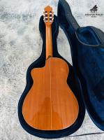 Đàn Antonio sanchez EG-3 | Nhập khẩu trực tiếp tại Nhật Bản